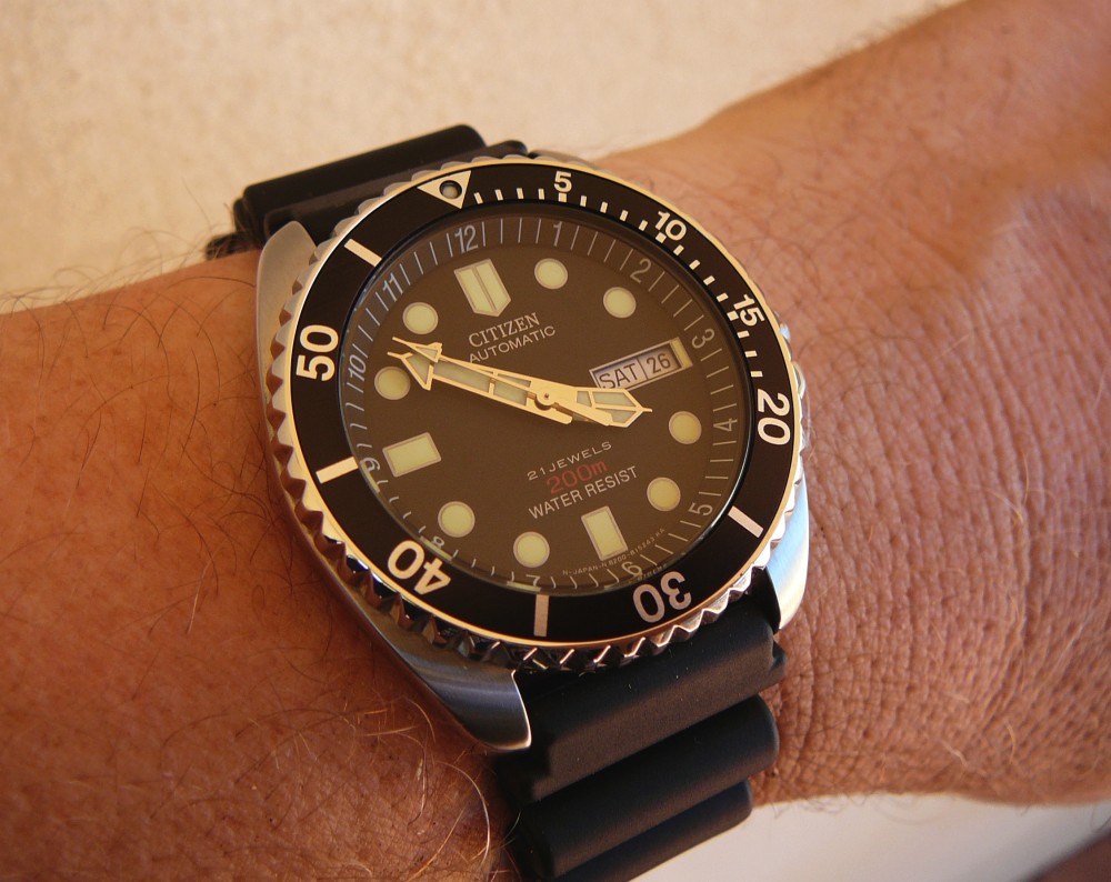 citizen professional diver